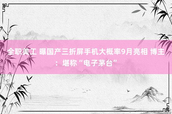 全职美工 曝国产三折屏手机大概率9月亮相 博主：堪称“电子茅台”