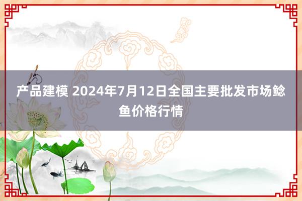 产品建模 2024年7月12日全国主要批发市场鲶鱼价格行情