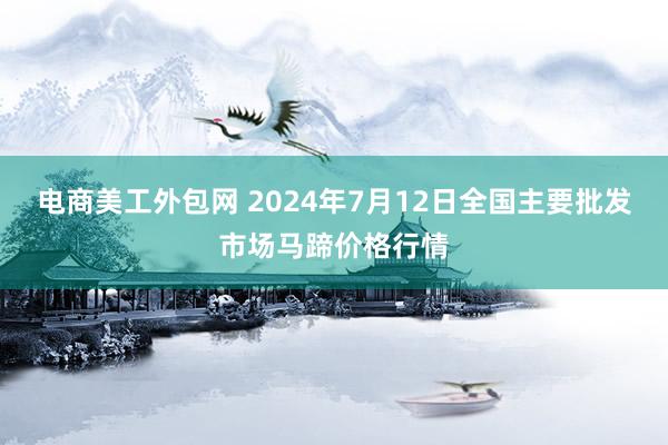 电商美工外包网 2024年7月12日全国主要批发市场马蹄价格行情