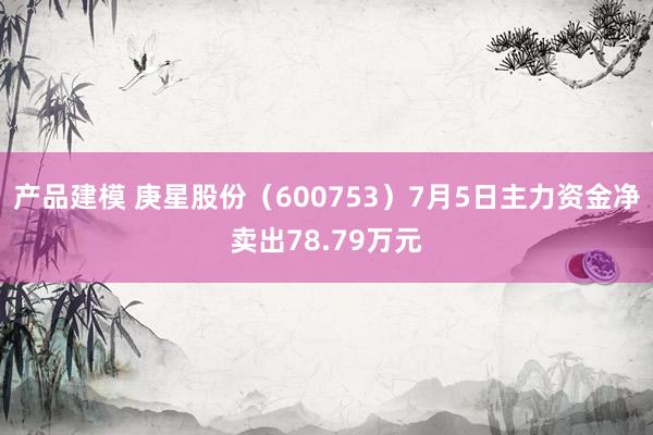 产品建模 庚星股份（600753）7月5日主力资金净卖出78.79万元