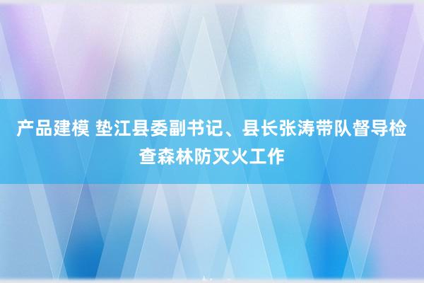 产品建模 垫江县委副书记、县长张涛带队督导检查森林防灭火工作