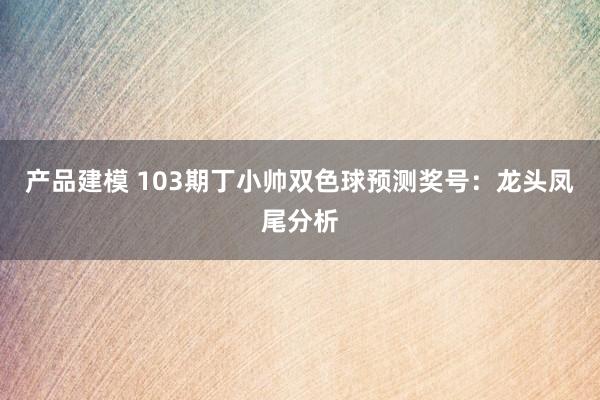 产品建模 103期丁小帅双色球预测奖号：龙头凤尾分析