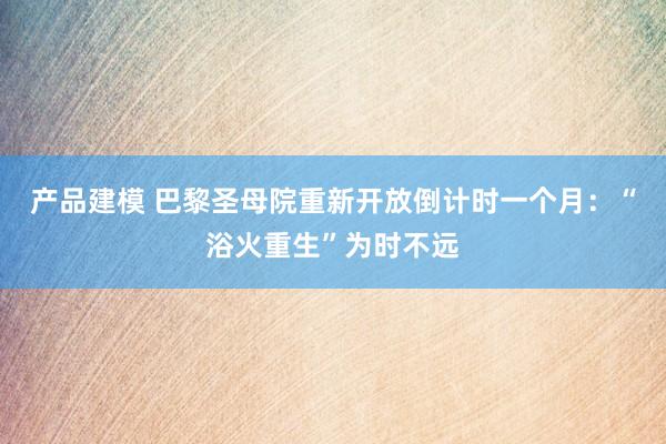 产品建模 巴黎圣母院重新开放倒计时一个月：“浴火重生”为时不远